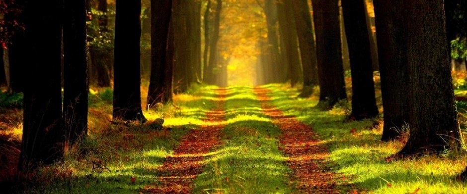 PROGRAMA DE DESARROLLO PERSONAL: CAMINO A UNA VIDA PLENA 1er movimiento [TIERRA] Qui&eacute;n soy; Ra&iacute;ces, Esencia e Identidad